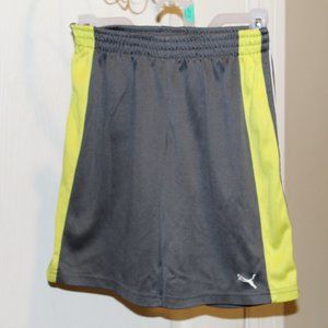 Puma Gray Shorts